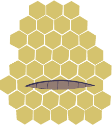 honey2a