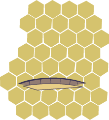 honey4a