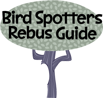 rebus-birds-head1