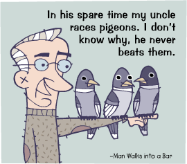 race-pigeons