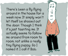 fly-Bill