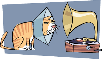 cat-cone